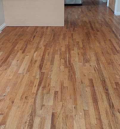 4th image of 1934 N Hoyne Ave #3