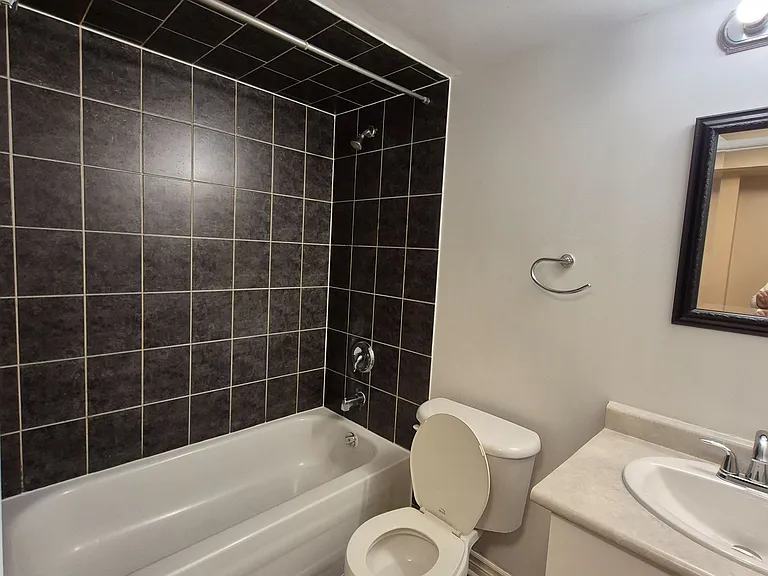 4 Charger Ln #BASEMENT — Photo 8