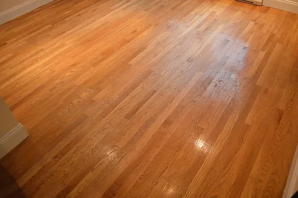 Rented by CoSo Apartments | media 14