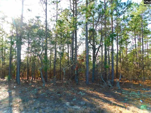 2411 Pond Branch Rd, Leesville, SC 29070