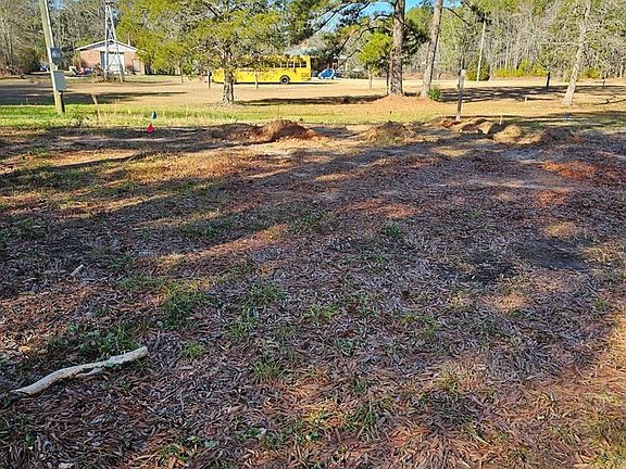 5th image of Hibiscus Ln
