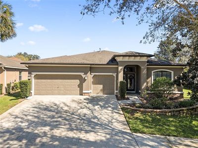 15664 Starling Water Dr, Lithia, FL, 33547