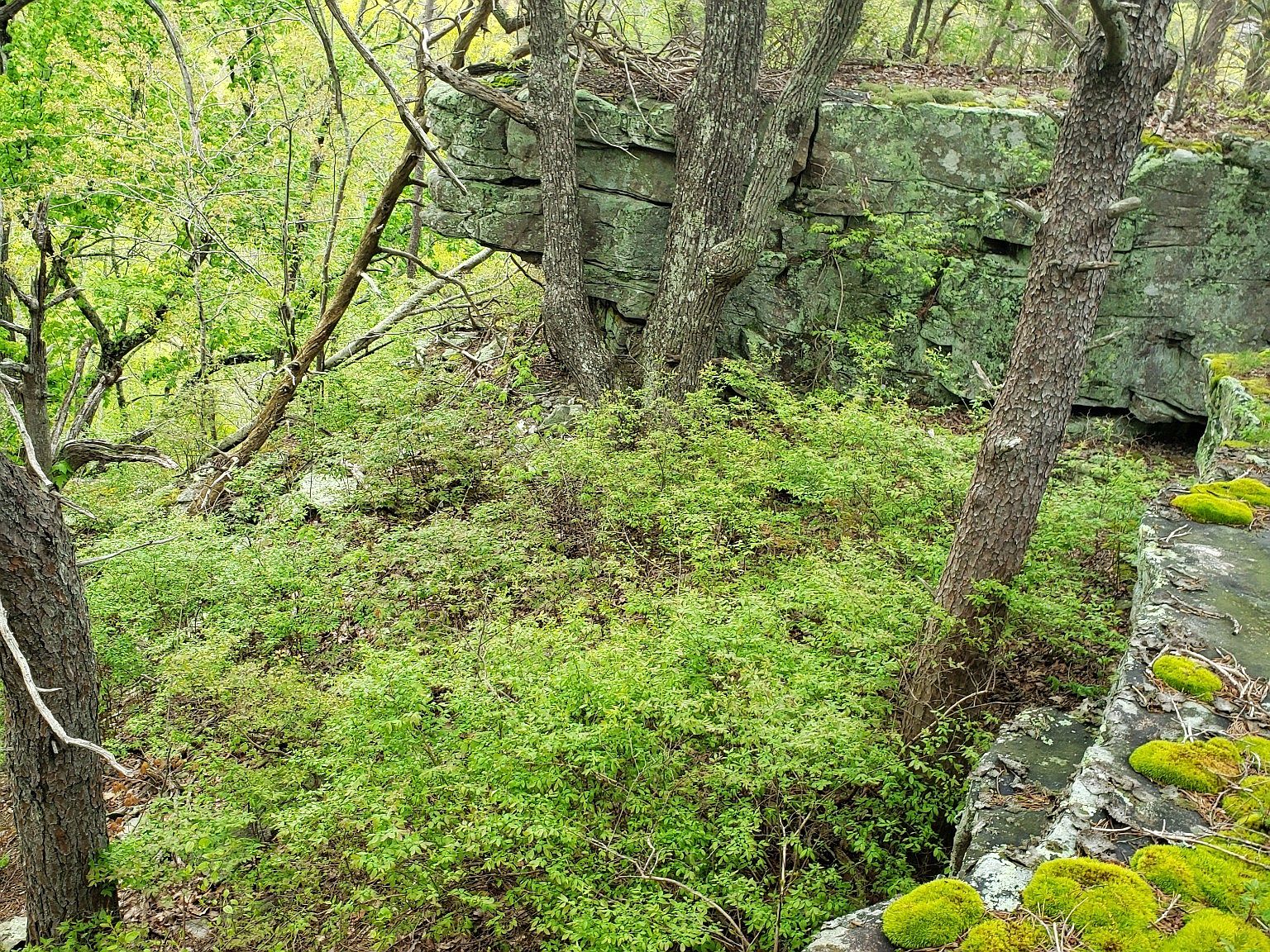 0 Bridal Veil Rte LOT 7, Monteagle, TN 37356 MLS 2531060 Zillow