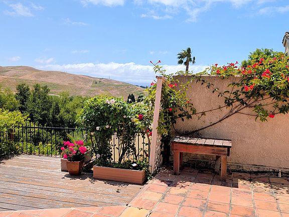 Backyard Pic 4