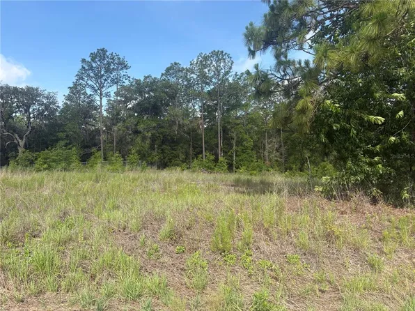 SW 152nd Ct Lot 91, Ocala, FL 34481