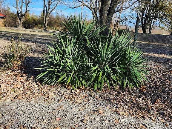 3rd image of 23920 202nd St