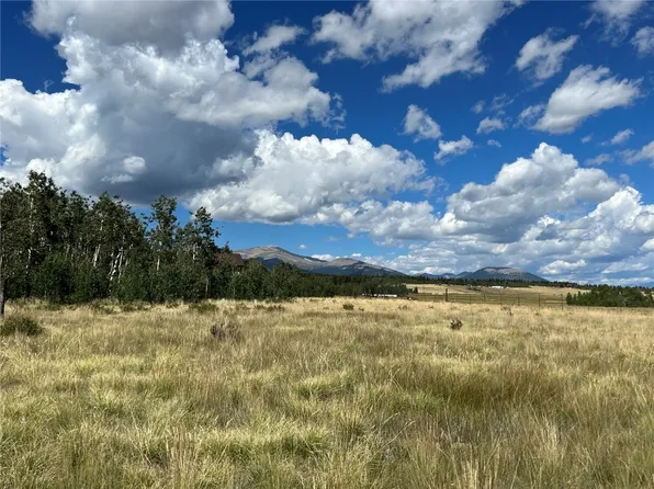 138 June Grass Ct, Fairplay, CO 80440