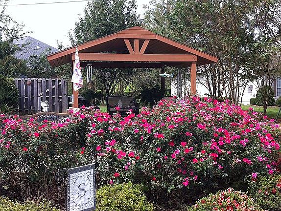 Lanai and Landscape (2011)