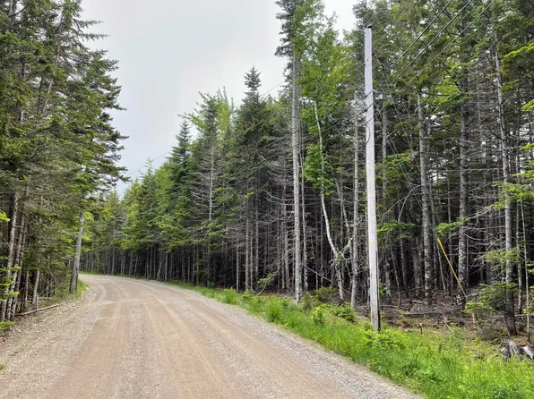 Lot 19 High Head Road, East Machias, ME 04630
