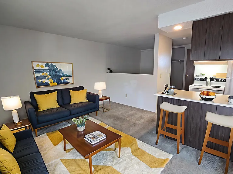 Studio Layout