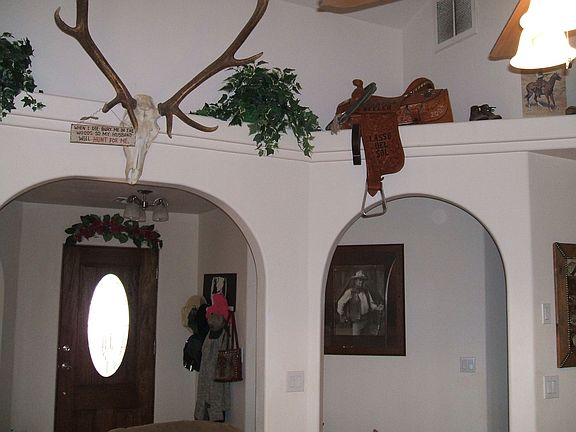 plant shelves & arches