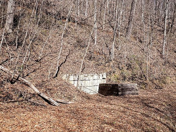 4th image of 0 Long Creek Ln
