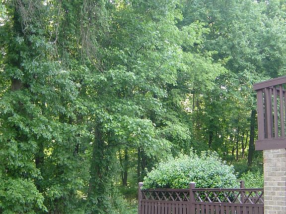 3rd image of 6814 Deer Run Dr