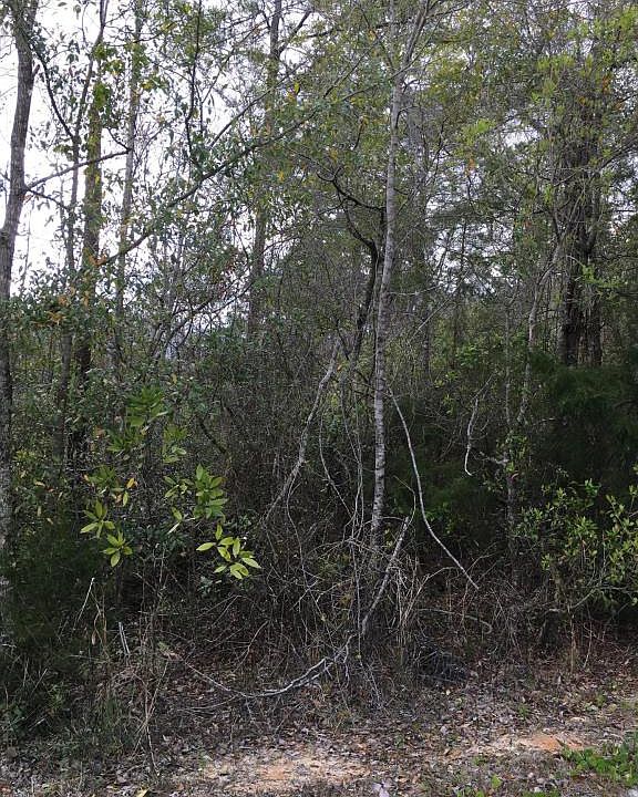 2nd image of 396 Compass Lake Dr