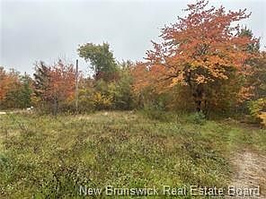 2nd image of 72 Old Harvey Rd