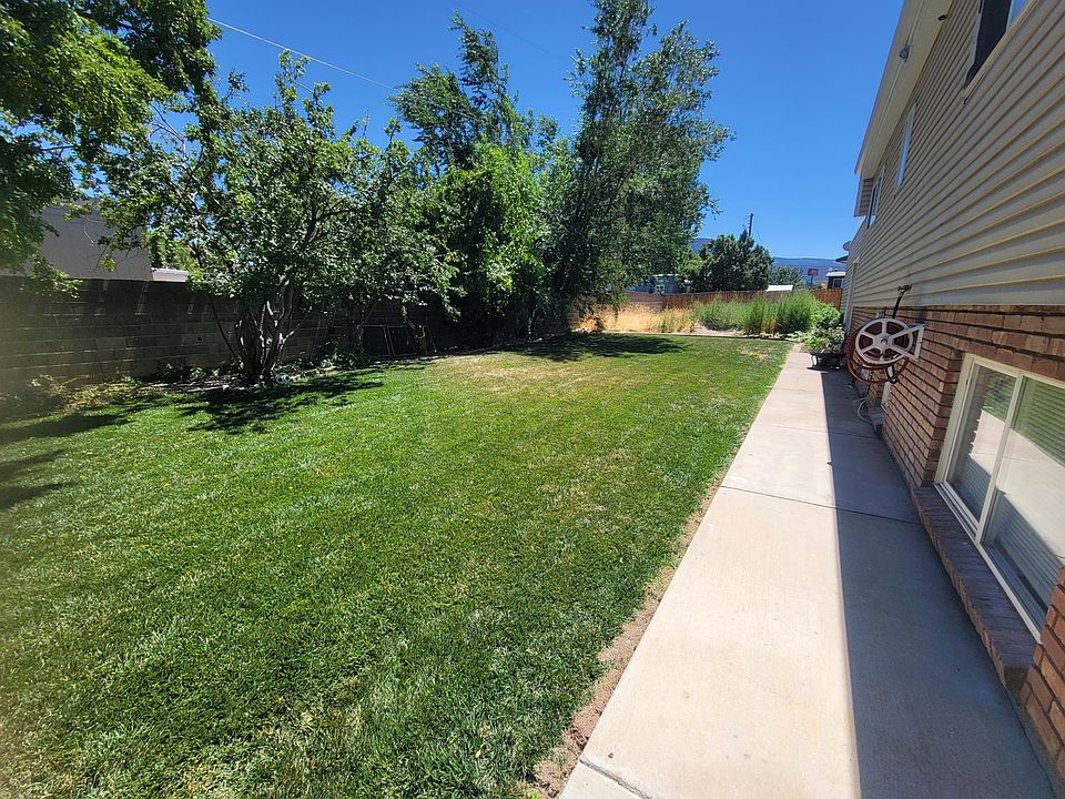 Back yard
