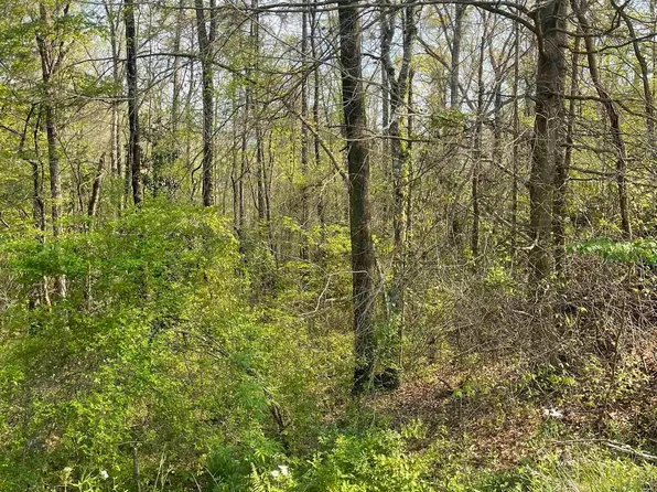 0 Sugar Hill Dr #29 & 28, Heflin, AL 36264