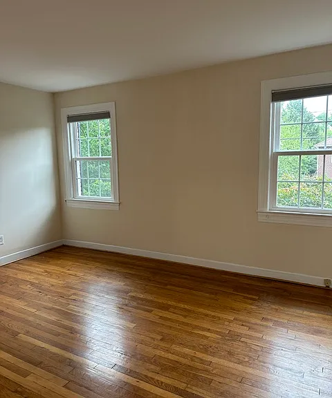 Brand new windows throughout
