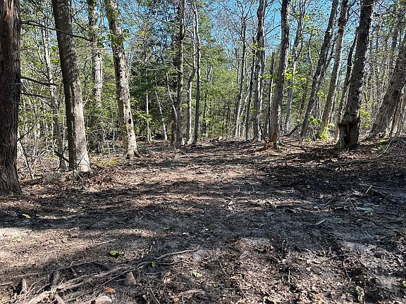 3rd image of 462 Old North Rd
