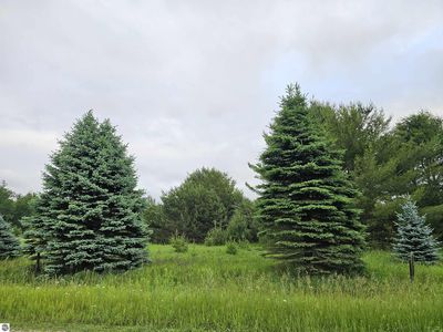 0 N Decker Rd, Lake City, MI, 49651