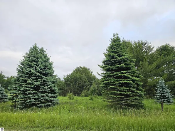 0 N Decker Rd, Lake City, MI 49651