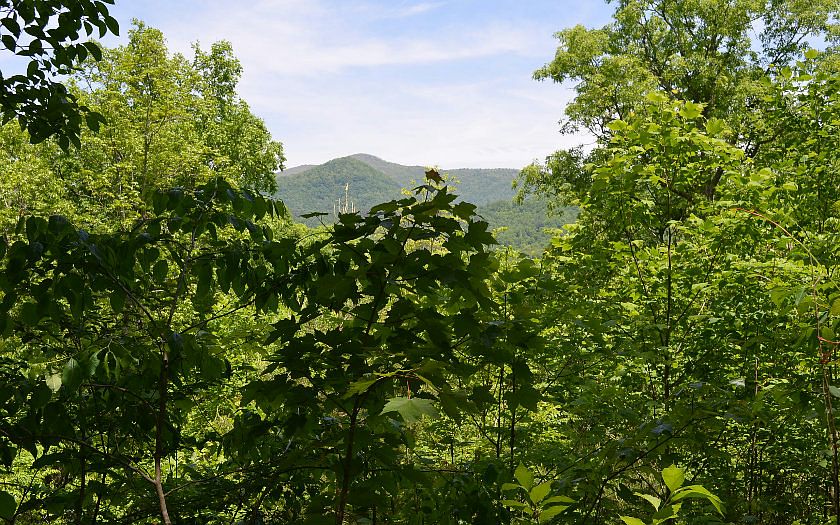 1st image of Konahetah Vlg