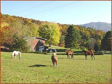 Pasture near barn