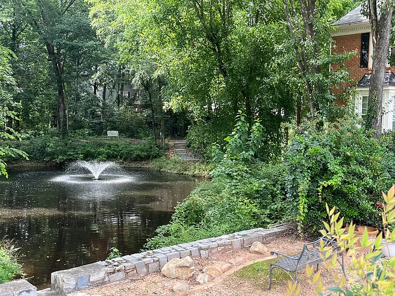 Community pond