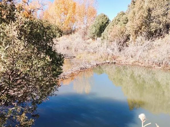 LOT 4470 Indian Creek Road, Fort  Garland, CO 81133