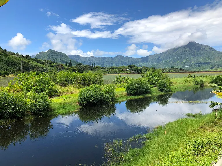 717 Kihapai Pl #23 — Photo 8