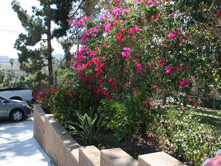 Ave 63 Apartments — Photo 25