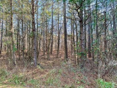 13 Oak Ridge Dr, Waverly Hall, GA, 31831
