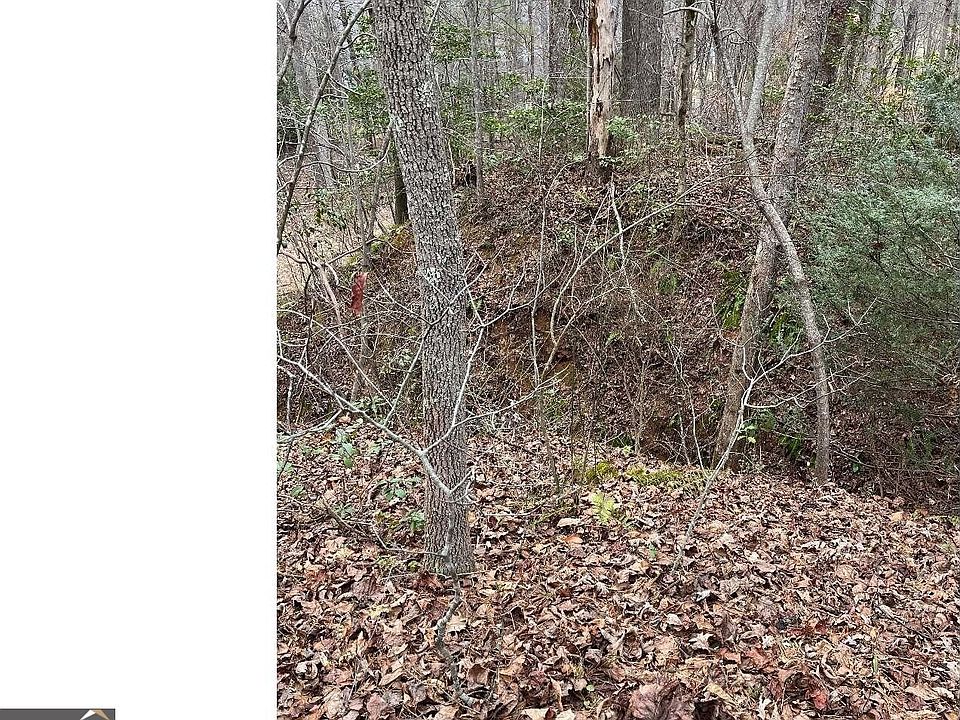 Town Road 5 Sunnyside Rd, Hiawassee, GA 30546 MLS 20166534 Zillow