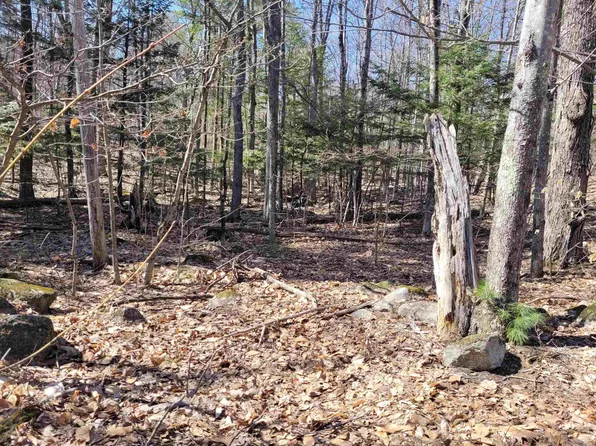 Lot 8 Merrymeeting Road, New Durham, NH 03855