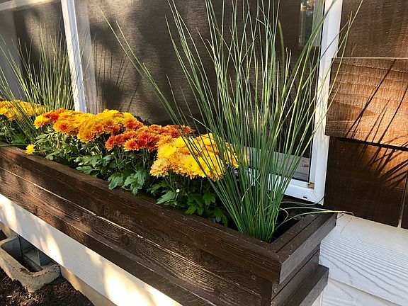 Solid cedar custom made