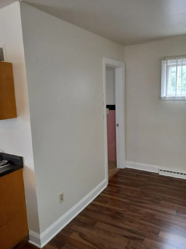 Studio, 300 sqft, $535 — Photo 4
