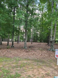 124 Fawn Dr #18, Clanton, AL, 35045