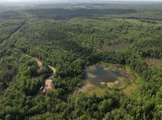 17420 N Village View Dr, Lakewood, WI 54138