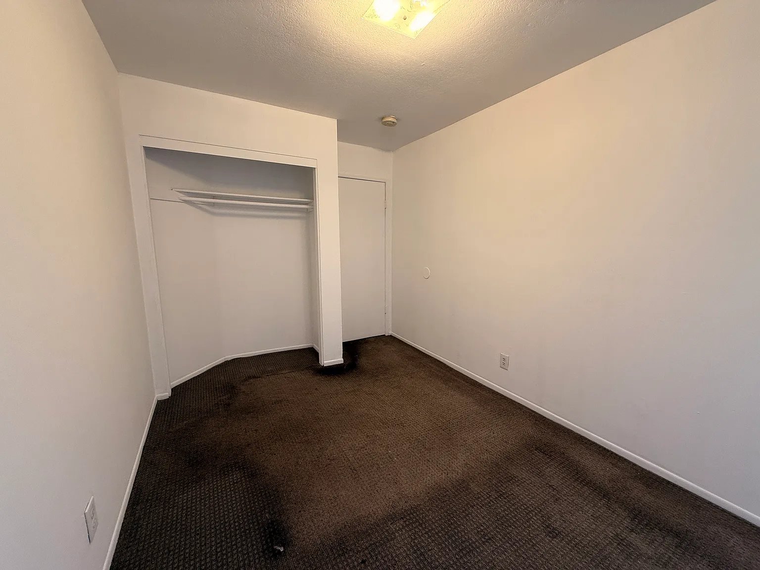 3 bed, $870 — Photo 2
