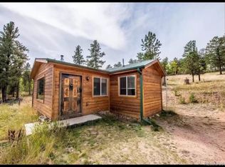 93 Lanier St, Bailey, CO 80421