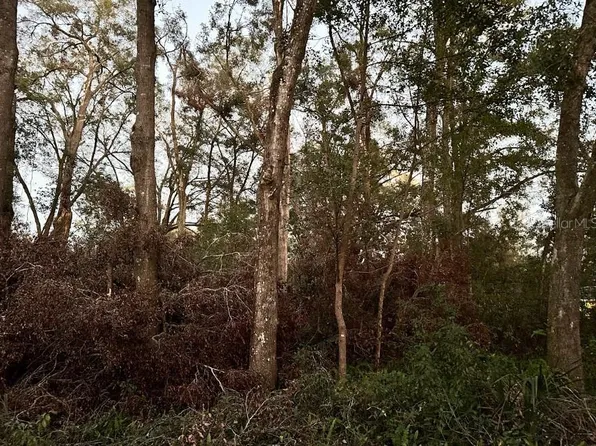 0 SE 34th Ct, Belleview, FL 34420