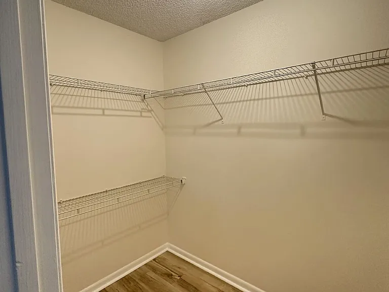 4790 Cinnamon Fern Dr — Photo 9