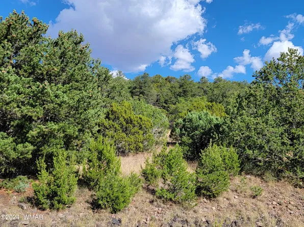 LOT 10 S Spruce St, Eagar, AZ 85925