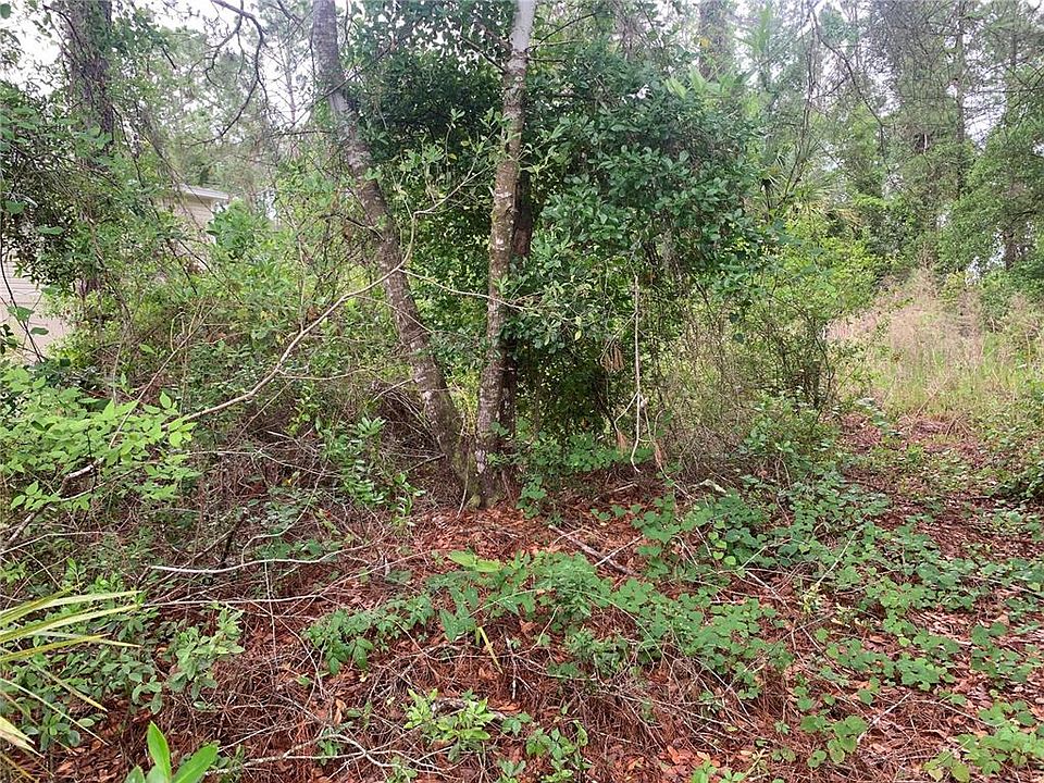 2nd image of 525 LIVE OAK LOOP LOT 10