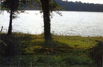 1st image of Lakeshore Dr