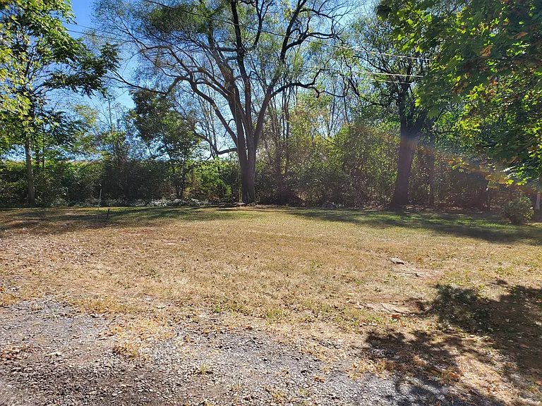 Shared yard