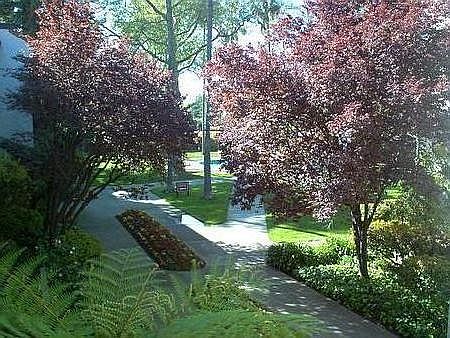 1st image of 1700 Halford Ave #X