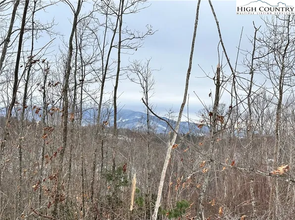 0000 LOT 78 Black Bear Crossing, Elk Park, NC 28622