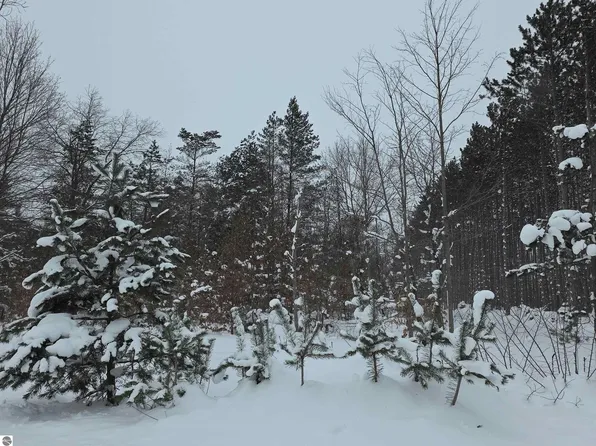 20606 E Saint Johns Rd, Interlochen, MI 49643