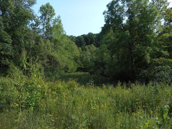 Wemmer Rd, Glouster, OH 45732